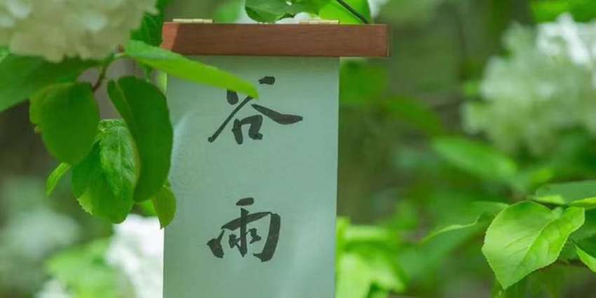 谷雨