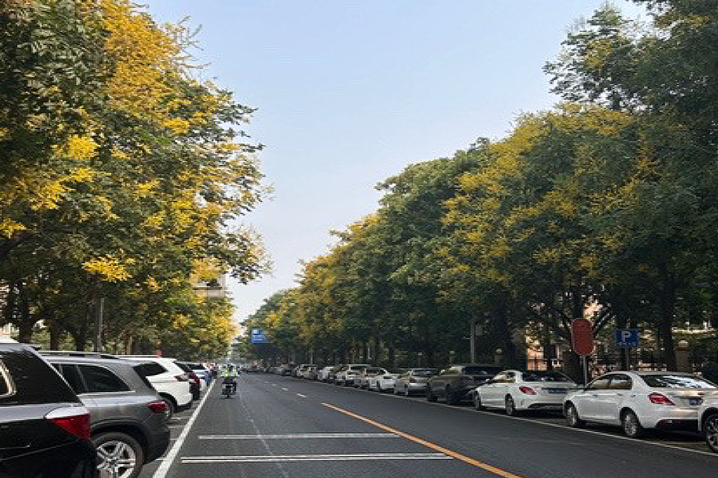白露