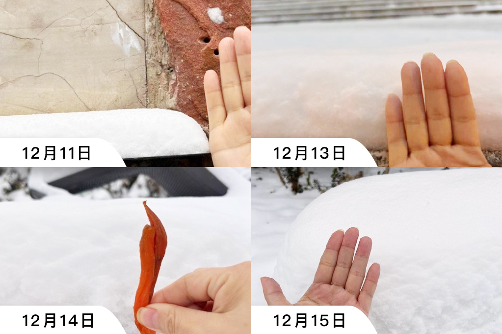 大雪