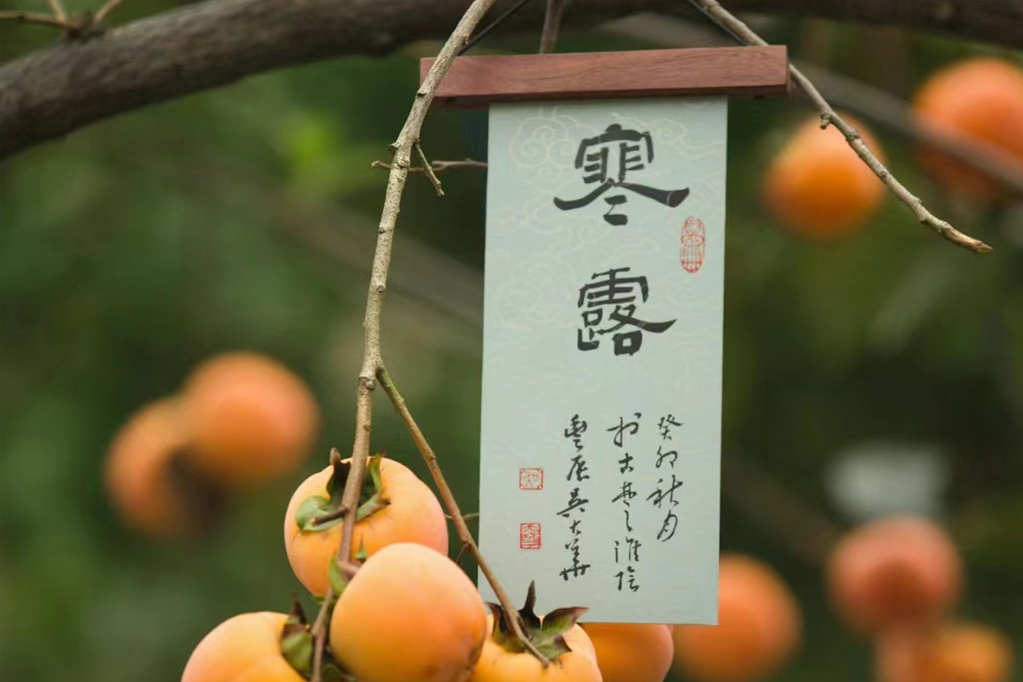 寒露