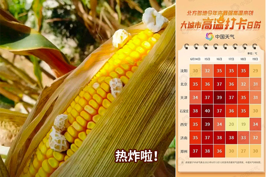 芒种