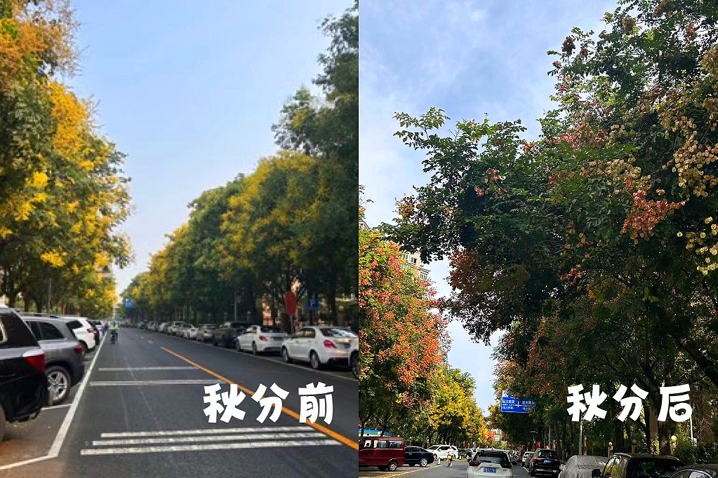 秋分
