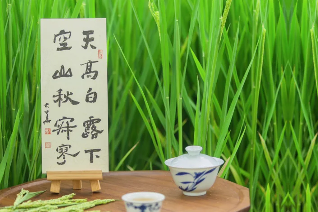 白露