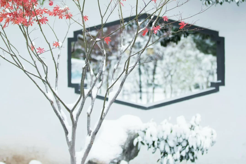 大雪