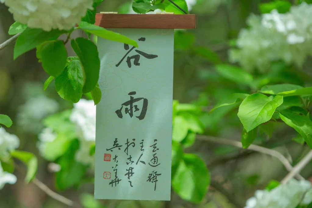 谷雨