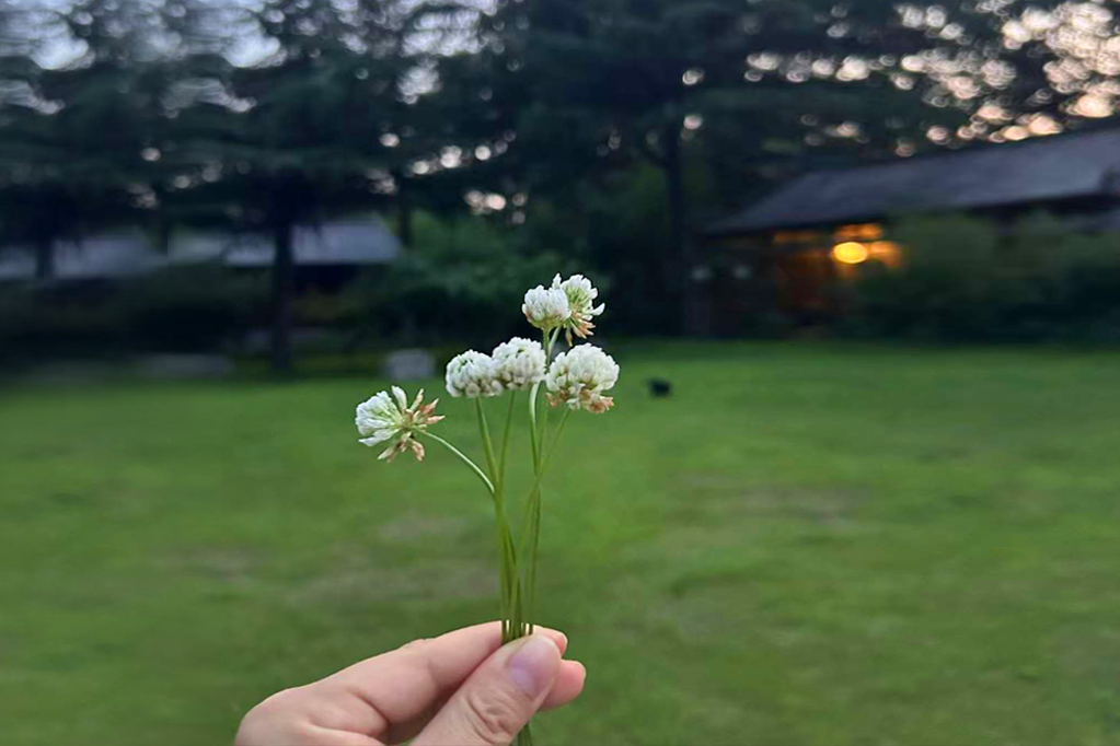 小暑