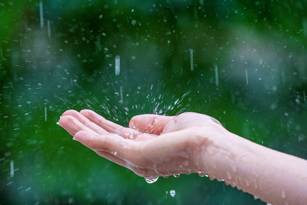 雨水