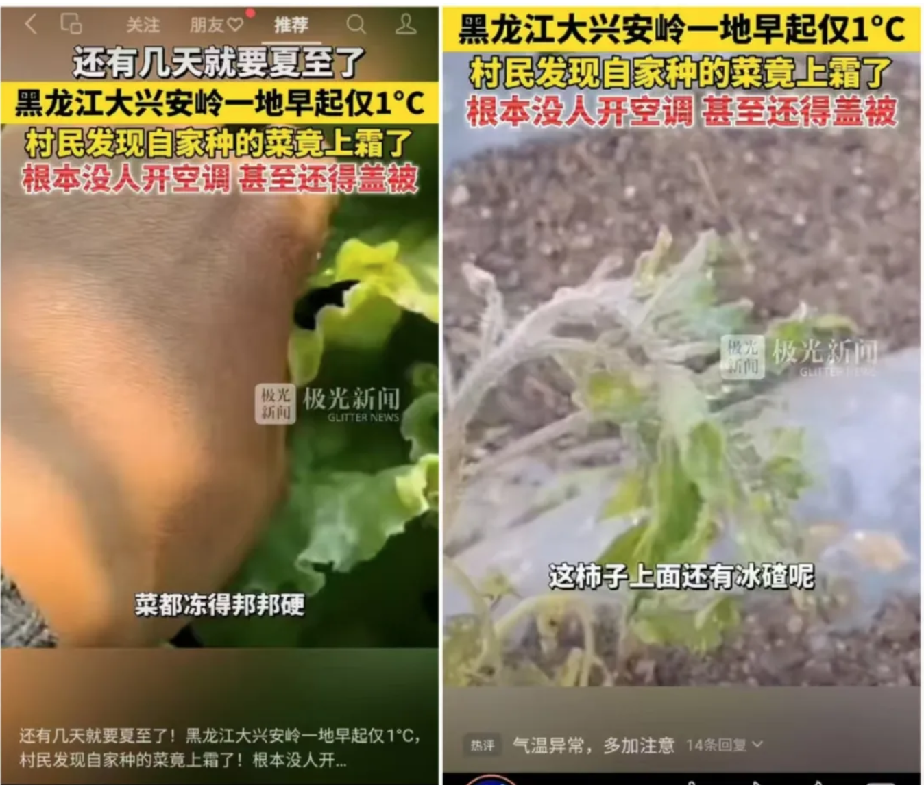 芒种