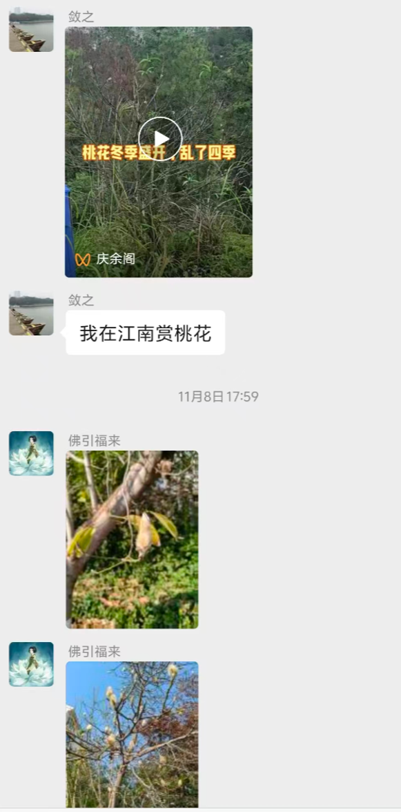 霜降