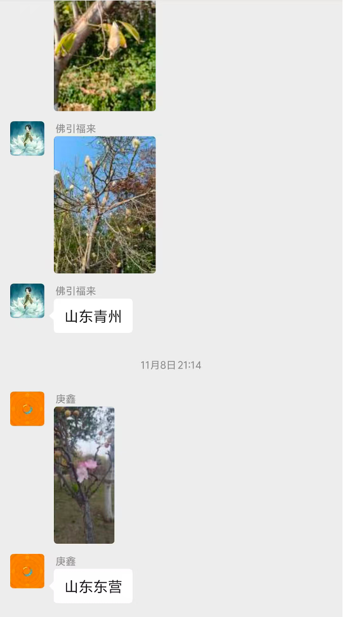 霜降